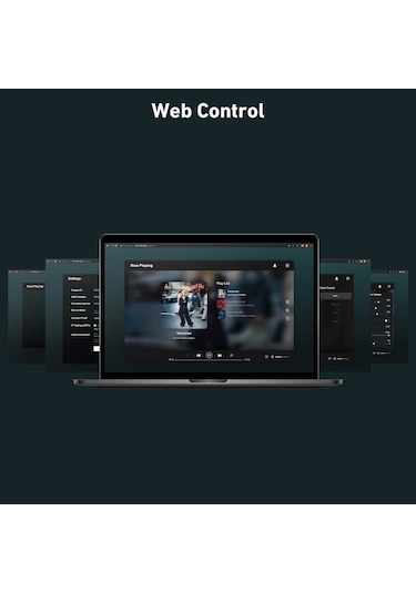 Arylic A50+ 50w X2 Stream Amfi