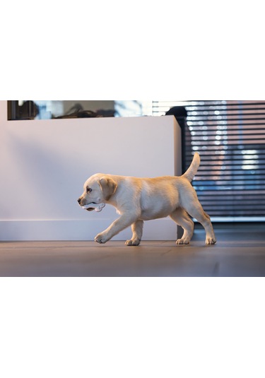 Beeztees Yavru Köpek Diş Oyuncağı, İçi Dolu Halka, Kauçuk, Pembe, 10cm