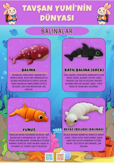 Tavşan Yumi Balinalar Koleksiyonu - 4 Parça 5-7 Cm Hareketli Oyuncaklar Ve Bilgilendirici Kartlat "