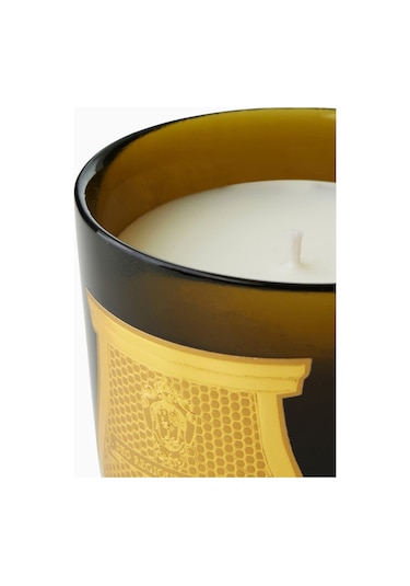 Trudon Cyrnos Classic Lüks Kokulu Mum Yeşil