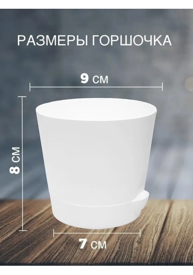 Interm Küçük Kaktüs Saksısı, Tabaklı, Saksı Seti 0,4 L 362274406