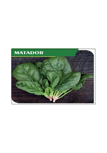 Ispanak Tohumu İthal Matador Çeşidi 250 GR