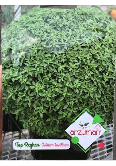 Arzuman Kokulu Top Fesleğen - Reyhan Tohumu 100 Adet