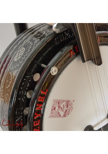 Zeynel Abidin Csl01Em Sazbüş-Uzun Sap-Erzincan İşleme-Kılıf Dahil