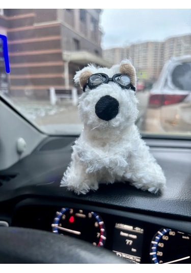 Mıshek Goods Araç İçin Panel Oyuncağı 290924009