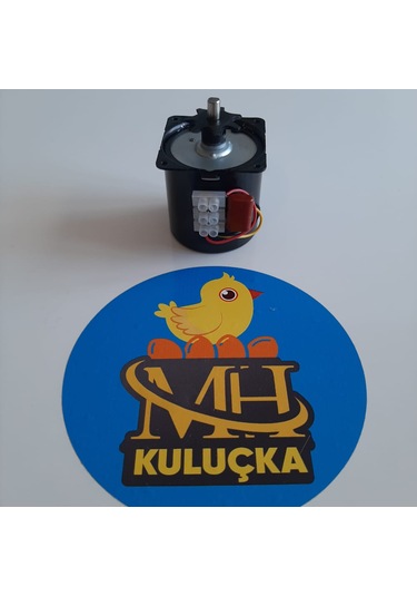 Kuluçka Çevirme Motoru 60ktyz Ac220v 2.5rpm 14w Senkron Motor