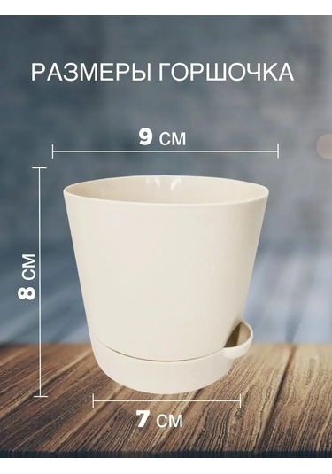 Interm Menekşeler, Sukulentler Ve Kaktüsler İçin Küçük Çiçek Saksısı 52390371