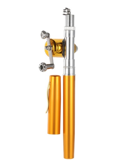 Folinda Alüminyum Minik Balıkçılık Seti: 99cm Uzayabilir Kamış + Makara, Cep Boyutunda, Dayanıklı Malzeme, Altın Renk Altın