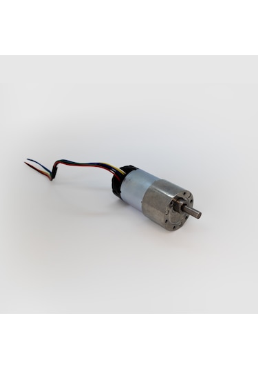 12v Enkoderli Fırçalı Dc Motor