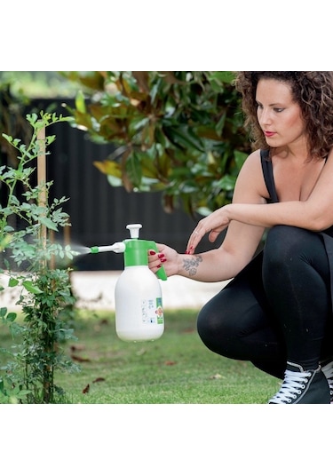 Dimartino Eva El Spreyi 2 Litre