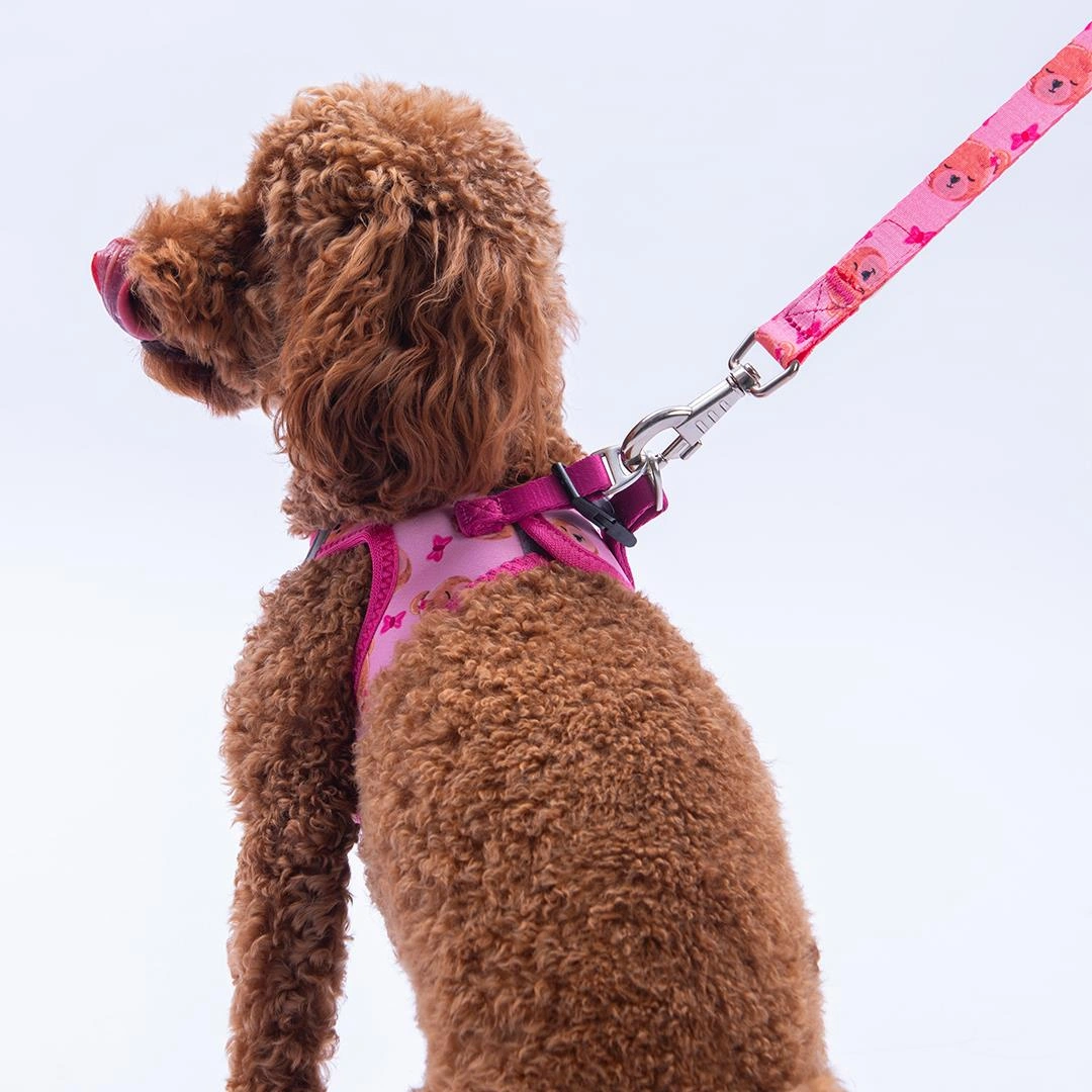 Teddy Club Göğüs Tasması Ve Sevk Kayışı Tasma Seti Ayıcıklı Kedi Köpek Göğüs Tasması Seti Pembe