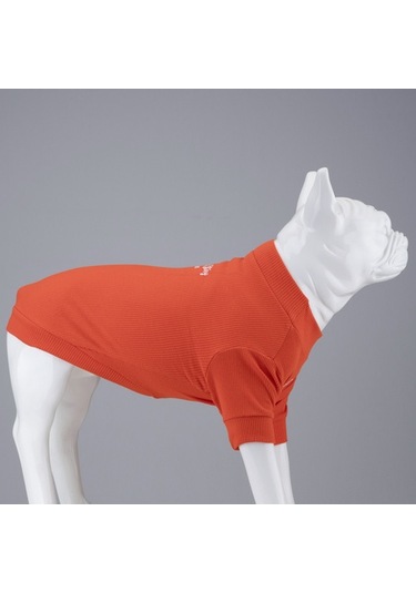 Flex Always Stay Free Küçük Ve Orta Irk Köpek Tshirt