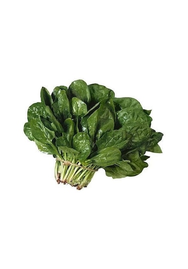 Kuzu Ispanak 100+ Tohum