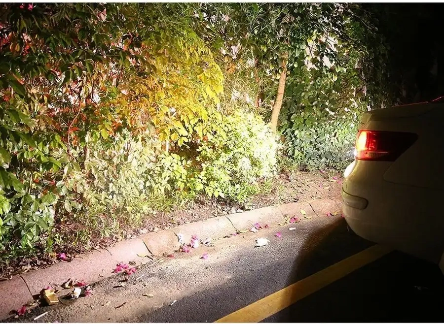 Carstore52 Otomotiv Led Lambaları P21w Led 2 Adet. 149563389