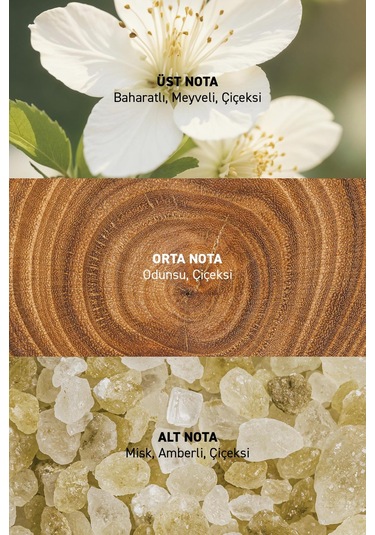 Alix Avien Feu Kadın Parfüm EDP 45 ML