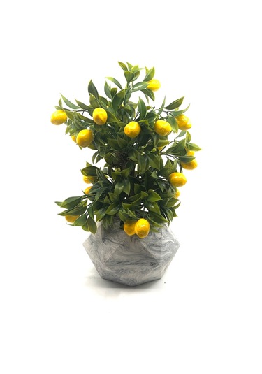 Geometrik Mermer Desenli Beton Saksıda Limon Ağacı Sarı - Yeşil