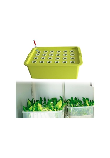 Suntek 24 Site Fidanlık Saksıları Parterre Bahçesi Yeşil