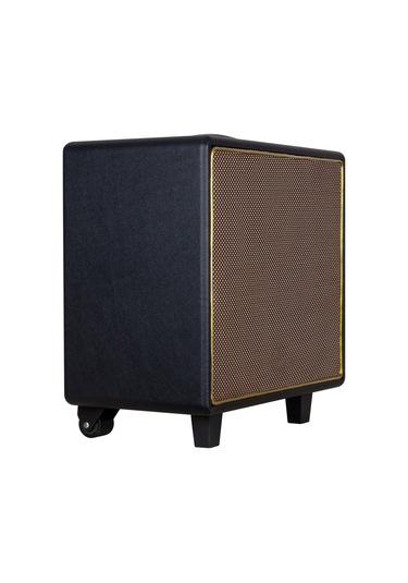 Shile Gt-10 El Mikrofonlu Usb/sd/bt Taşınabilir Hoparlör