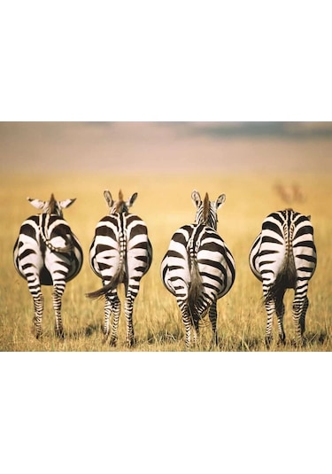 Ravensburger Zebra Puzzle 300 Parça