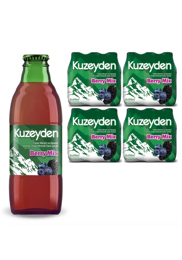 Kuzeyden Berry Mix 24x200ml