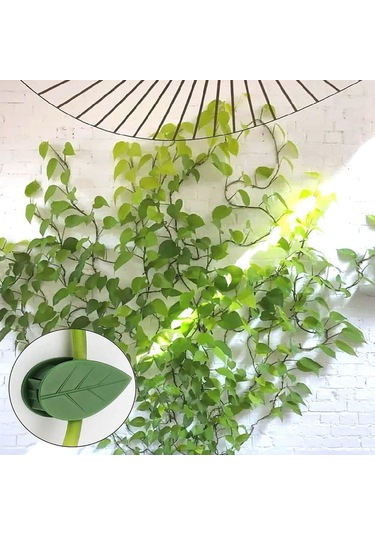 Lebihmurah 2973 Bitki Tırmanma Duvarı Armatür Klipsleri Görünmez Duvar Sarmaşıkları Sabitleme Klipsleri