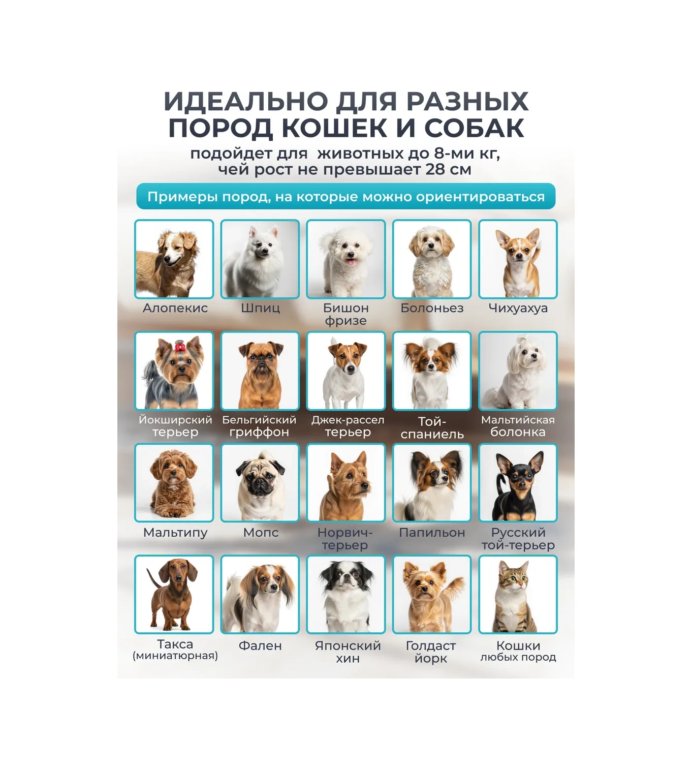 Platser Group Kedi Ve Köpekler İçin Taşıma Çantası 213868100