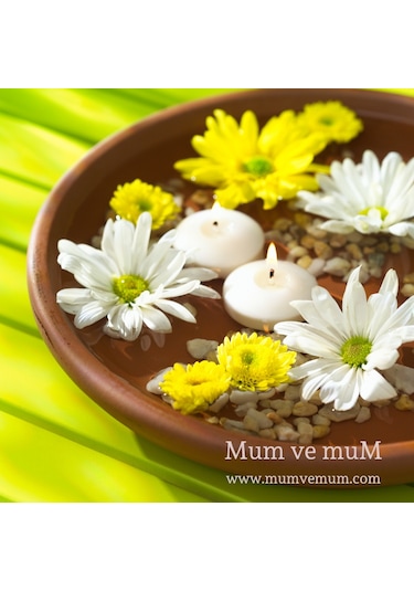 12 Li Çap 5 Cm Beyaz Yüzen Mum Beyaz