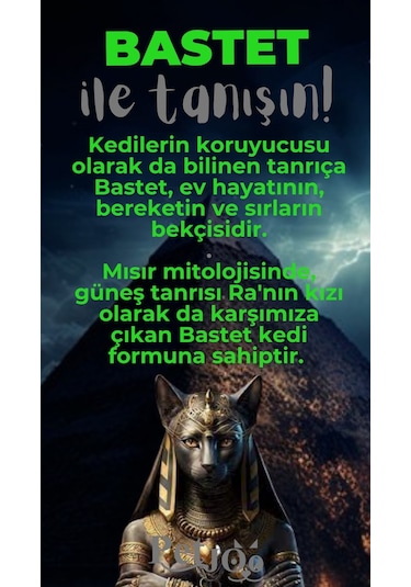Petjoo 1.Bastet Gri-Yeşil Qr'lı Kedi Künyesi