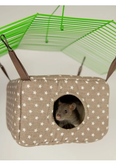 Loorı Kemirgenler İçin Pencereli Ev 19x19x12 Cm Asılı 165654310