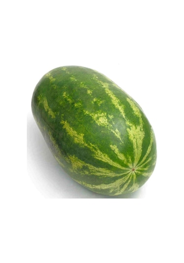 Meşhur Diyarbakır Karpuzu Tohumu 5 Adet Tohum Karpuz Tohumu