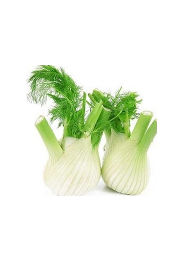 Rezene Tohumu 30 Adet Tohum