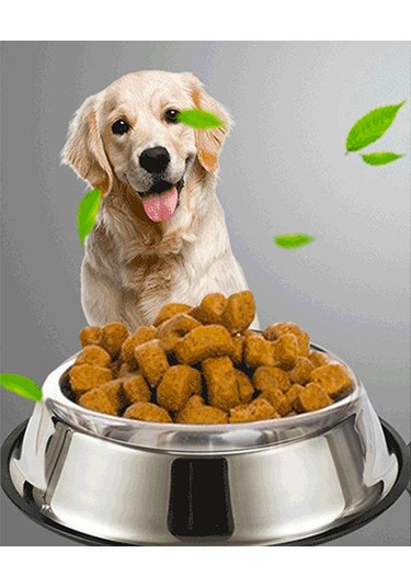 Microcase Kedi Köpek Metal Mama ve Su Kabı AL3118 22 CM 2 x 500 ML