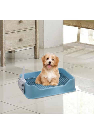 Homyl Chinchillas Yavru Pet Malzemeleri Için Kaşık Mavi