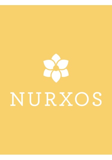 Nurxos 9755 Hati Edp Erkek Parfümü 8681124697554 65 ML