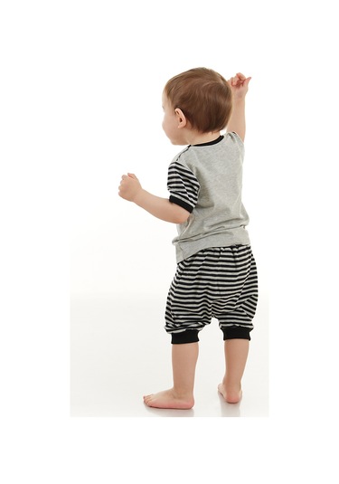 Denokids Rakun Erkek Bebek T-shirt Kısa Pantolon Takım Gri
