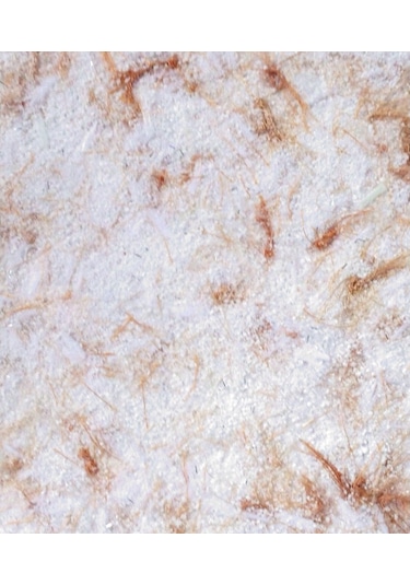 Canlı Sıva (103939600)