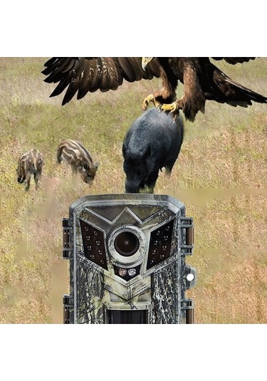Pazly Ip66 Avcılık Kamera 0.2s Tetik Hızı Yaban Hayatı İzleme Çok Renkli Gece Görüşlü Çok Renkli