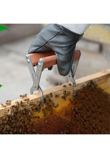 Jl Arı Kovanı Klipsi Paslanmaz Arı Çerçeve Tutucu Arı Kovanı