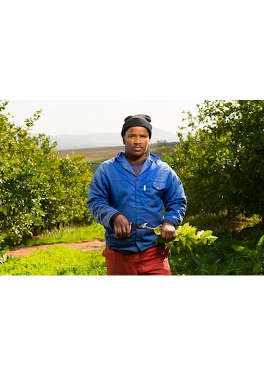 Felco 5 Budama Makası - 110238 Sağ By-Pass