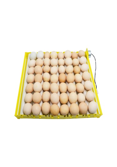 Suntek Otomatik 42/56 Yumurta Civciv Kuş Kuluçka Kuluçka