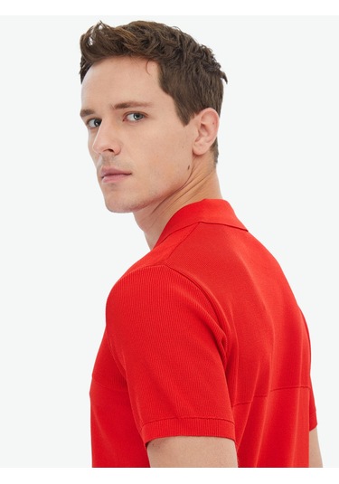 Kip Nar Çiçeği Polo Yaka Jakarlı Triko Çok Renkli