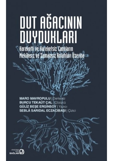 Dut Ağacının Duydukları - Bağlam Yayıncılık