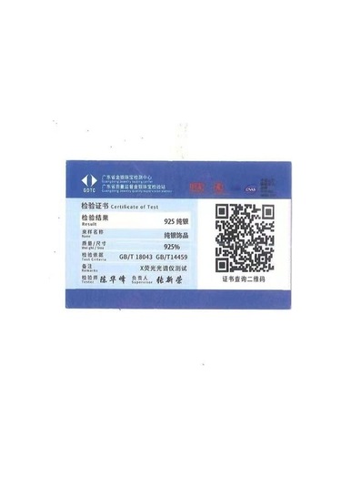 Novahub 925 Ayar Gümüş Kalp Şekilli Kristal Kolye - Kolye Takı Yaka Aksesuar Gümüş