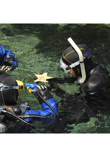 Kosona 3mm Kalın Neopren Dalış Şapka: Kışın Isı Sağlar, Su Altı Sporları İçin Esnek Ve Isı Tutucu - Sarı Çizgili M Boyu