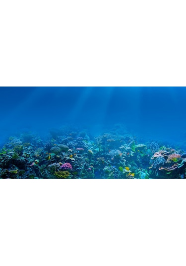 Kanki Pet KP1055209 Akvaryum Arka Fon Yapıştırma 105 CM