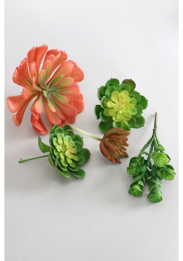 Yapay Succulent Sukulent Set - 5