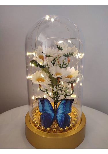 Işıklı Papatya Buket Fanus