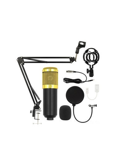 Singree Bm800 Profesyonel Kondenser Mikrofon Seti - Usb Bağlantılı, Geniş Frekans Aralığı, Düşük Gürültü, Canlı Yayın Ve Kayıt İçin