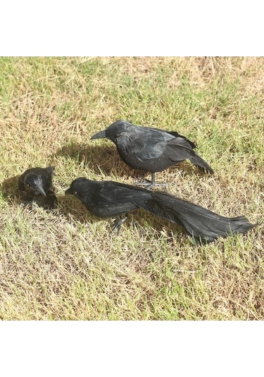 Xianwen Geeroyoo 3 Adet El Yapımı Siyah Tüylü Karga Süsü -