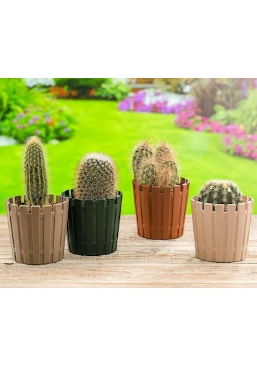 Kaktüs Saksı - Poliwork Çit Desenli Akasya Saksı